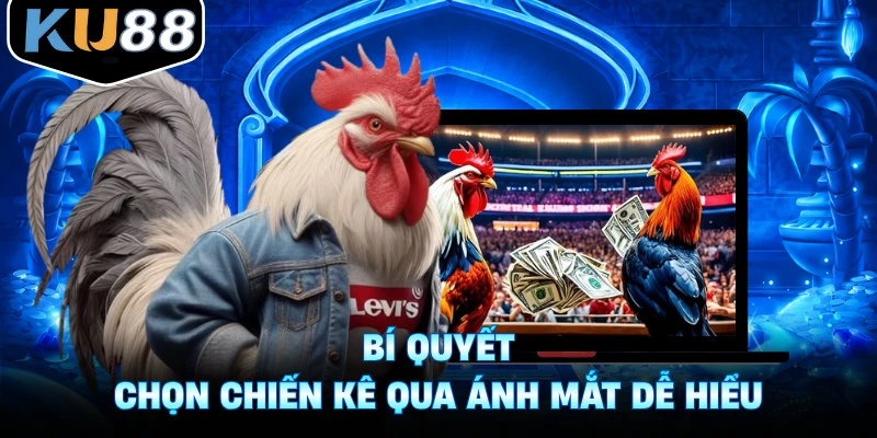 Bí Quyết Chọn Chiến Kê Qua Ánh Mắt - Nhận Biết Gà Tài Năng
