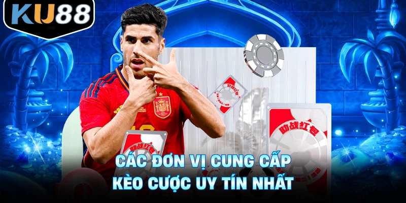 Các đơn vị cung cấp kèo cược uy tín nhất