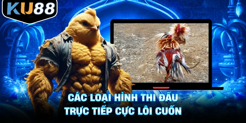 Các loại hình thi đấu trực tiếp cực lôi cuốn