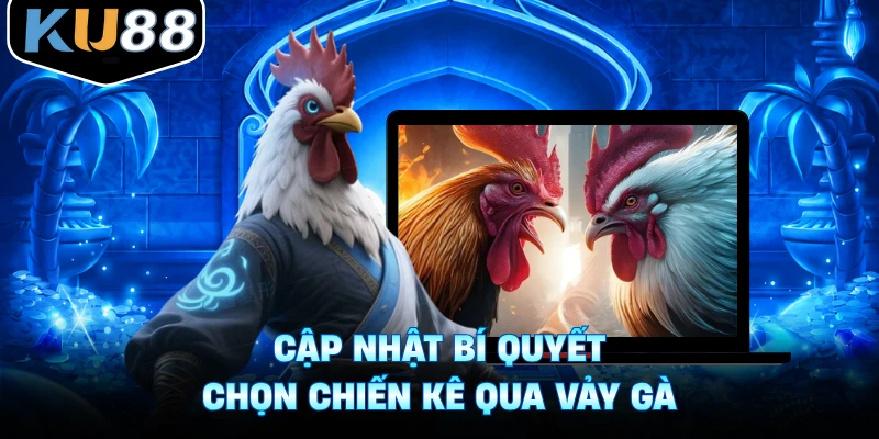 Cập nhật bí quyết chọn chiến kê qua vảy gà
