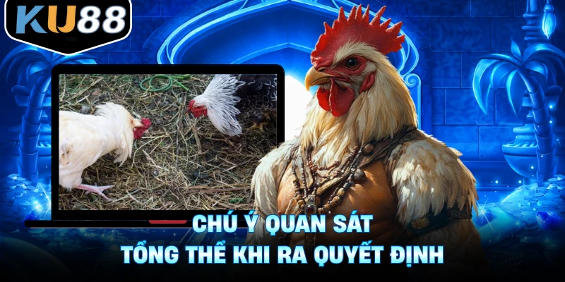 Chú ý quan sát tổng thể khi ra quyết định
