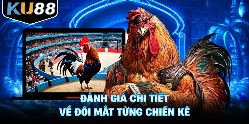 Đánh giá chi tiết về đôi mắt từng chiến kê