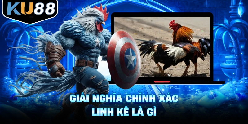Giải nghĩa chính xác linh kê là gì