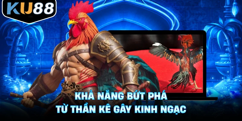 Khả năng bứt phá từ thần kê gây kinh ngạc