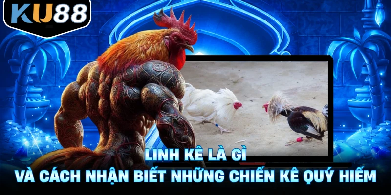 Linh Kê Là Gì Và Cách Nhận Biết Những Chiến Kê Quý Hiếm