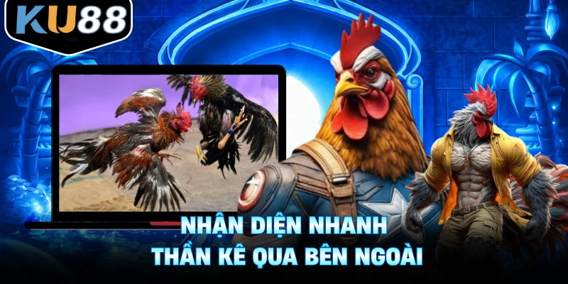 Nhận diện nhanh thần kê qua bên ngoài