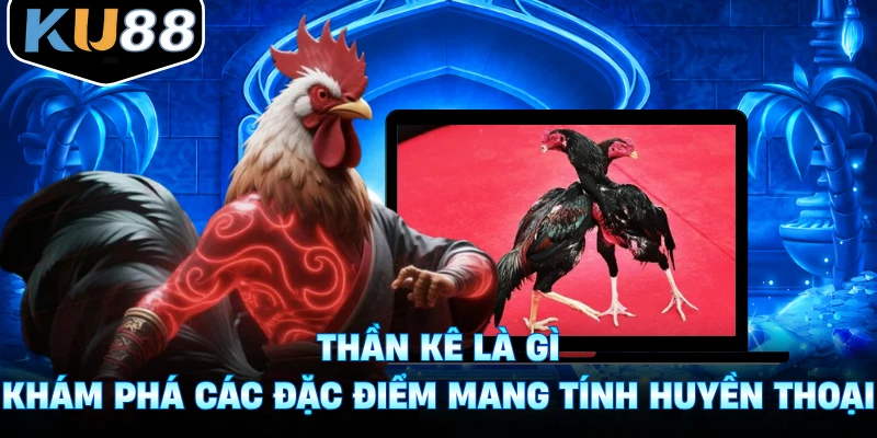 Thần Kê Là Gì - Khám Phá Các Đặc Điểm Mang Tính Huyền Thoại