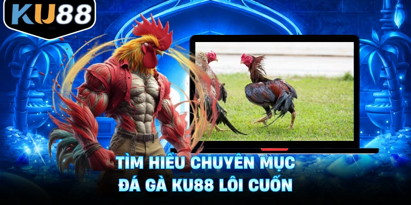 Tìm hiểu chuyên mục đá gà Ku88 lôi cuốn