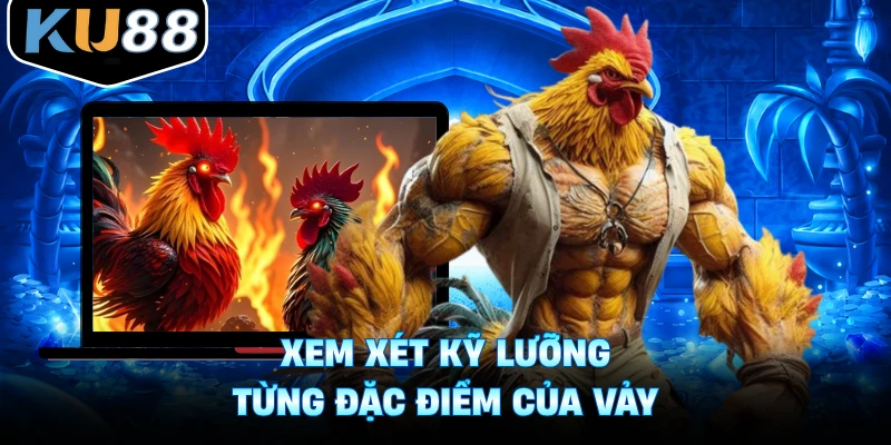 Xem xét kỹ lưỡng từng đặc điểm của vảy